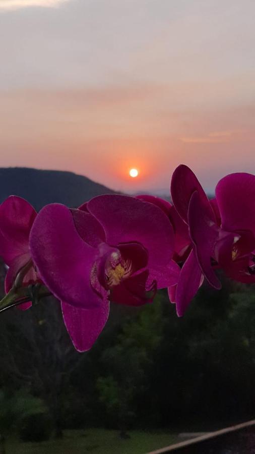 Pousada Flor De Lotus Dos Canyons Praia Grande Kültér fotó